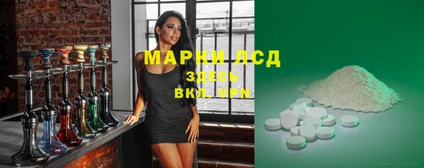 хмурый Инта