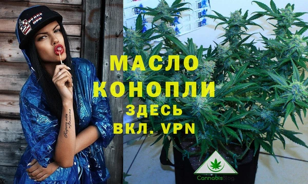 хмурый Инта