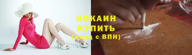 хмурый Инта