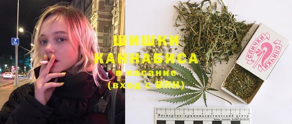 хмурый Инта