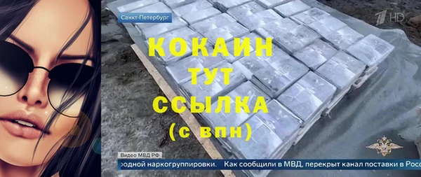 хмурый Инта