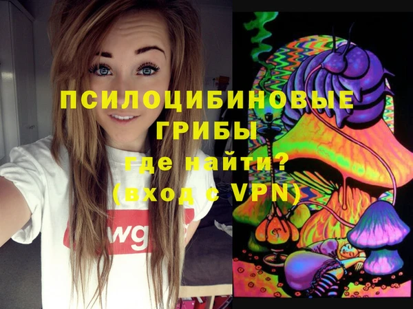хмурый Инта