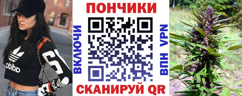 Каннабис OG Kush  Купить закладки  Лениногорск 